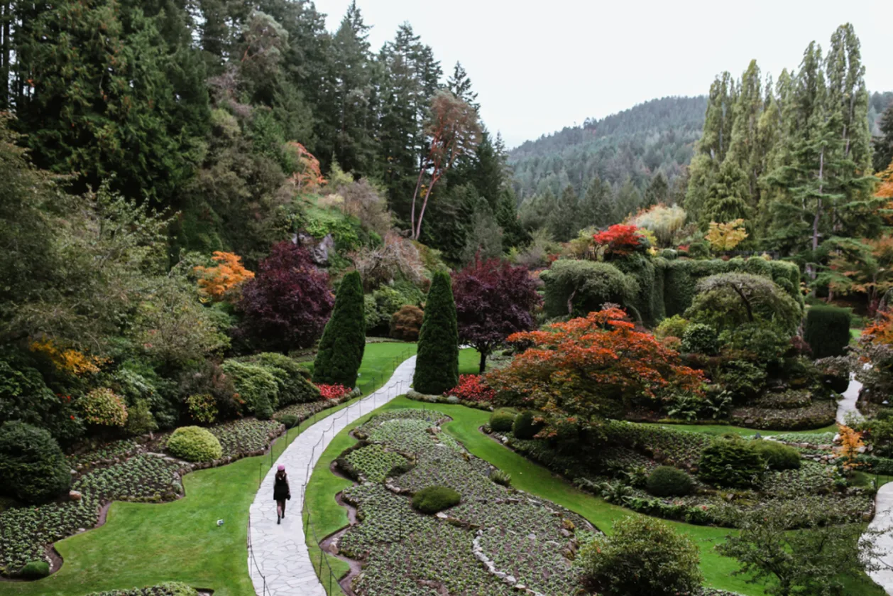 The Sunken Garden at Butchart Gardens, taken by @localwanderer